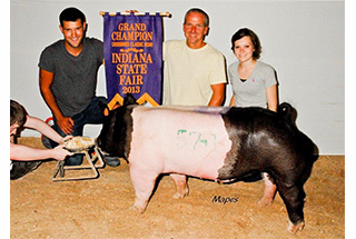 13 Reserve Division Champion Michigan Livestock Expo