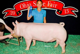 13 Class Winning Yorkshire Barrow Ohio State Fair
