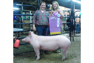 13 Reserve Champion Market Hog Waterford Fair, PA